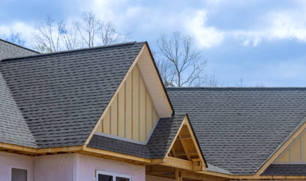 Best Rubber Roofing (EPDM, TPO)  in Tallapoosa, GA